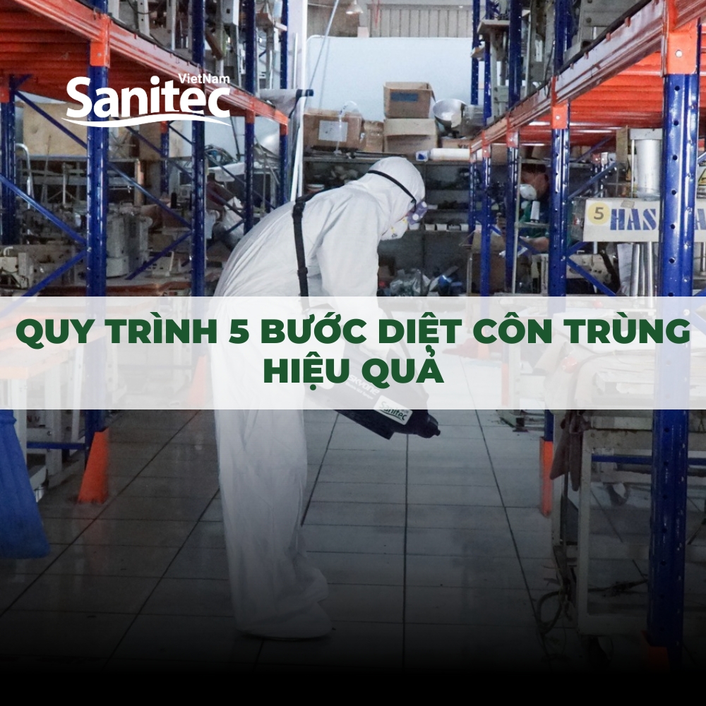 QUY TRÌNH 5 BƯỚC DIỆT CÔN TRÙNG HIỆU QUẢ